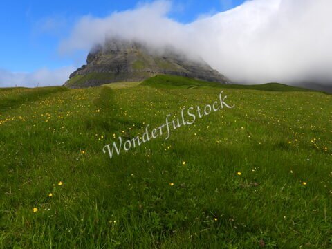 Pâturage verdoyant avec des fleurs jaunes au premier plan, devant la montagne de Gasadalur, Îles Féroé.