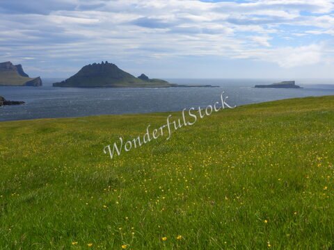 Prairie verdoyante avec des fleurs jaunes à Gasadalur, Îles Féroé, et vue sur l'océan et les îles environnantes.