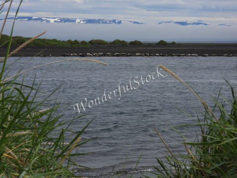 Bord de rivière avec des collines verdoyantes et des montagnes enneigées en arrière-plan, Islande.
