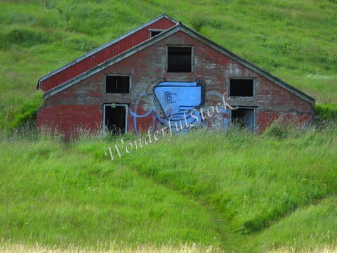 Un bâtiment abandonné avec une peinture murale d'une tasse, entouré d'herbe verte en Islande.