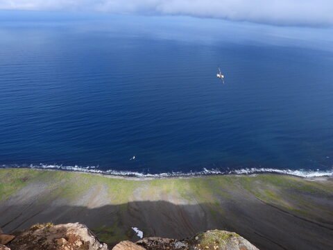 Une vue du littoral de Bolafjall, Islande, avec des eaux calmes et une plage de sable et d'herbe.