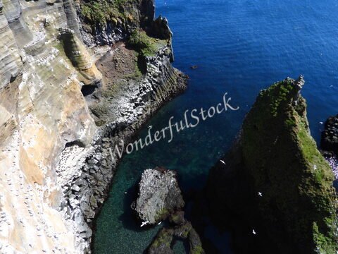 Falaises abruptes et rochers surplombant l'eau à Londrangar, Islande. Des oiseaux se tiennent sur les formations rocheuses.