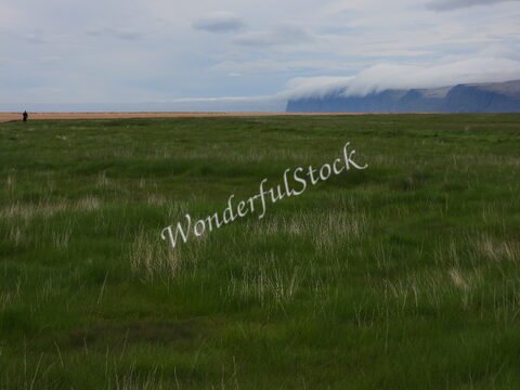 Plage de Rauðisandur en Islande, avec des champs de verdure et des falaises au loin sous un ciel nuageux.
