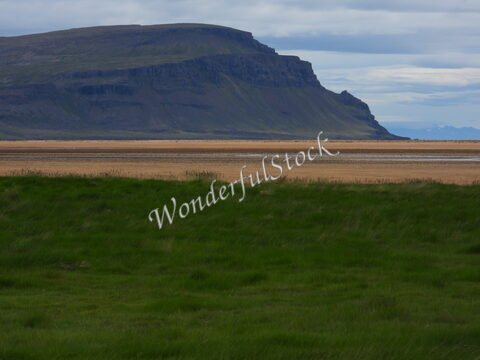 Rochers sur la plage de Rauðisandur, Islande, avec des herbes vertes et un ciel nuageux.
