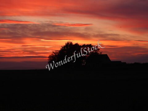 Silhouette d'une maison et d'arbres sous un ciel coloré au coucher du soleil, Seljalandsfoss, Islande.