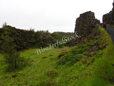 Rochers basaltique à Thingvellir, Islande, entourés de verdure et d'arbres, avec un chemin menant à des visiteurs.