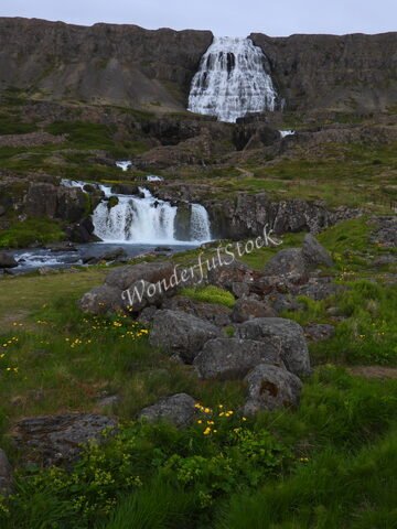 Chute d'eau dans la nature verdoyante à Hæstahjallafoss, Islande, entourée de rochers et de fleurs.