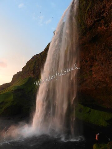 Une cascade majestueuse à Seljalandsfoss, en Islande, entourée de verdure et d'une légère brume.