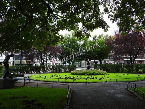 Un parc à Bergen, Norvège, avec des pigeons sur l'herbe et des arbres bordant les allées.