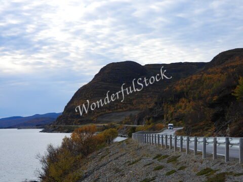 Montagnes et route longeant un fjord en Norvège, avec des arbres aux feuilles jaunes au début de l'automne.