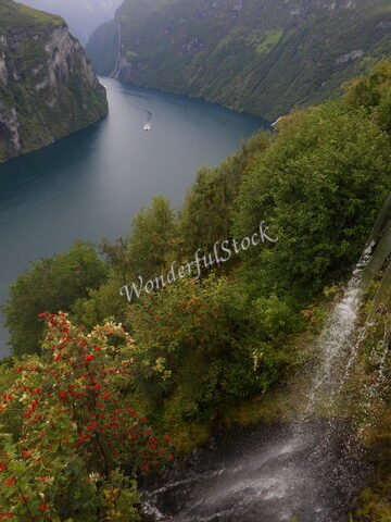 Vue sur le fjord de Flydalsjuvet en Norvège, avec des arbres verdoyants et des fleurs rouges au premier plan.