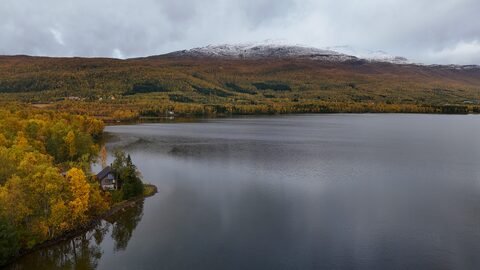 Lac entouré de forêts d'automne et de montagnes en Norvège.