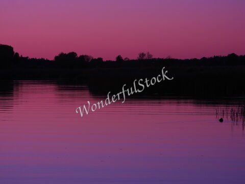 Reflet d'un paysage aquatique à Hammarskog, Suède, dans des teintes violettes, avec des silhouettes d'arbres en arrière-plan.