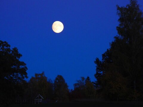 Lune brillante dans un ciel bleu nuit, avec des arbres et un bâtiment visible à Hammarskog, Suède.