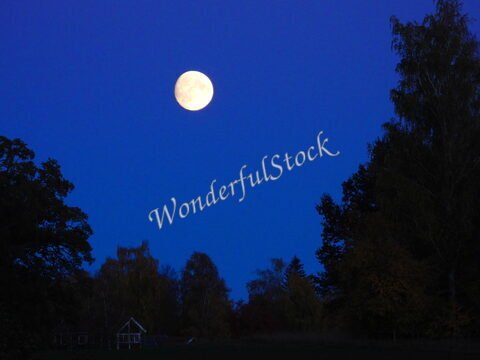 Lune brillante dans un ciel bleu nuit, avec des arbres et un bâtiment visible à Hammarskog, Suède.