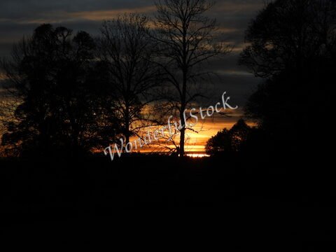 Coucher de soleil derrière des arbres, Hammarskog, Suède.