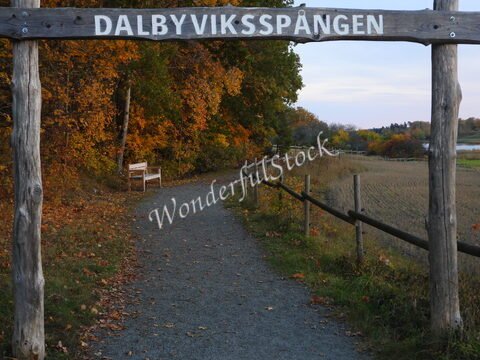 Sentier bordé de clôtures avec un banc, sous des arbres aux feuilles d'automne, à Dalbyviken, Suède.