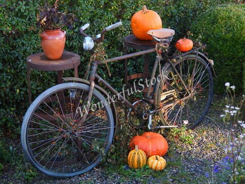 Bicyclette rouillée avec des citrouilles et un pot de fleurs, à Ale, Suède.
