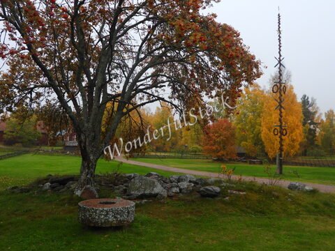 Un arbre aux feuilles colorées et une pierre circulaire dans un paysage à Solleron, Suède, avec des bâtiments en arrière-plan.