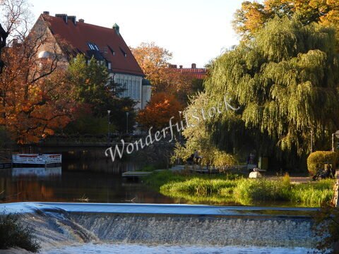 Un ruisseau et des arbres aux feuilles colorées, à Uppsala, Suède.