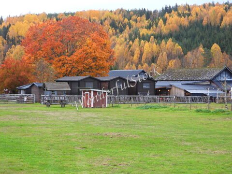 Des bâtiments en bois et un abri sur un terrain verdoyant, entourés d'arbres aux feuilles colorées, en Suède.