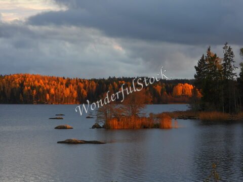 Un lac avec des rochers et des îlots, entouré de forêts aux couleurs d'automne, en Suède.