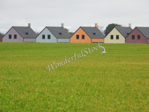 Des maisons colorées se dressent sur un champ verdoyant en Suède. Une mouette vole au-dessus des bâtiments.