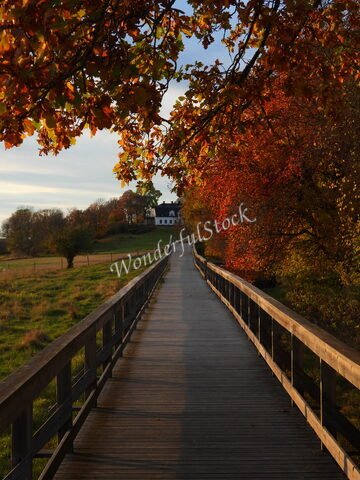 Un chemin en bois bordé d'arbres aux feuilles d'automne, menant à un bâtiment, à Hammarskog, Suède.