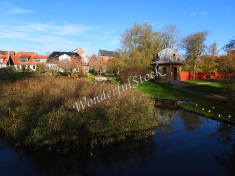 Un bâtiment avec un dôme se trouve près d'un étang, entouré de maisons à Ribe, Danemark. Des herbes et des oiseaux ajoutent à la scène.