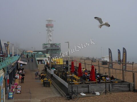 Plage de Brighton en Angleterre, avec des parasols et des chaises, sous un ciel brumeux, et un oiseau en vol.