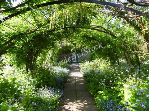 Allée verdoyante bordée de fleurs menant à une porte dans un jardin à Brighton, Angleterre.
