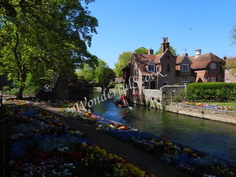Un bateau navigue le long d'un canal à Canterbury, Angleterre, entouré de maisons anciennes et de fleurs colorées.