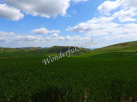 Champs de verdure et collines sous un ciel nuageux à Durdle Door, Angleterre.