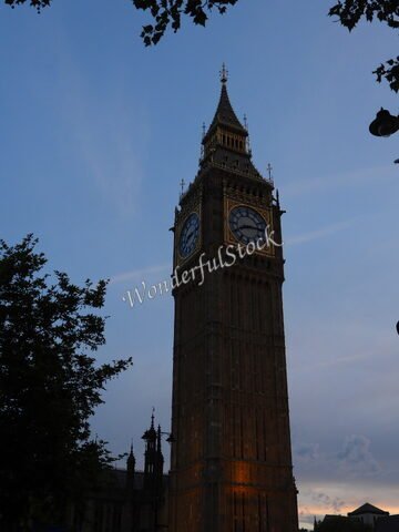 La tour de Big Ben à Londres, Angleterre, se dresse sous un ciel crépusculaire, entourée de feuillage et d'architecture historique.