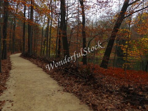 Sentier sinueux bordé d'arbres aux feuilles dorées, près du Pont du Diable en Allemagne.