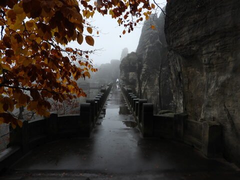 Pont de Bastei en Allemagne, entouré de rochers et de feuilles d'automne, sous un ciel brumeux.