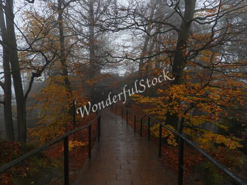 Sentier bordé d'arbres aux feuilles jaunes et oranges, menant au pont de Bastei en Allemagne, sous un ciel brumeux.