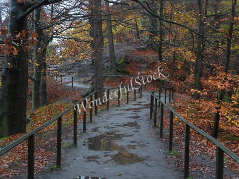 Sentier sinueux bordé de mains courantes, entouré d'arbres aux feuilles d'automne, en Allemagne, près du pont de Bastei.