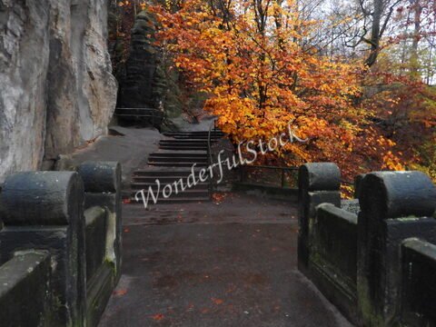 Escaliers menant à un pont dans la forêt d'automne à Bastei, Allemagne. Des arbres aux feuilles dorées entourent le chemin.