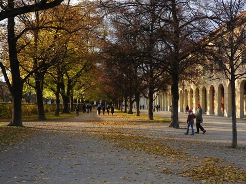 Allée bordée d'arbres aux feuilles jaunes et brunes, à Munich, Allemagne, avec des passants sur le chemin.