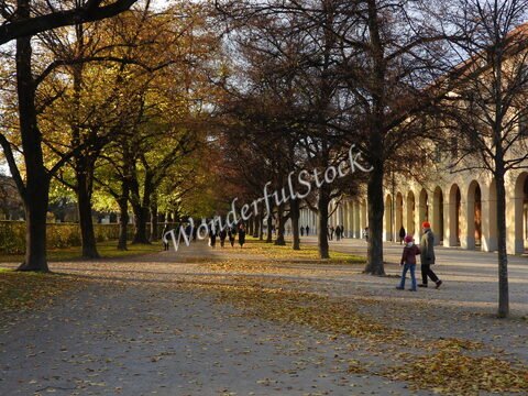 Allée bordée d'arbres aux feuilles jaunes et brunes, à Munich, Allemagne, avec des passants sur le chemin.
