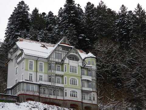Maison à Triberg, Allemagne, entourée de sapins enneigés et avec un toit en pente, dans un paysage hivernal.