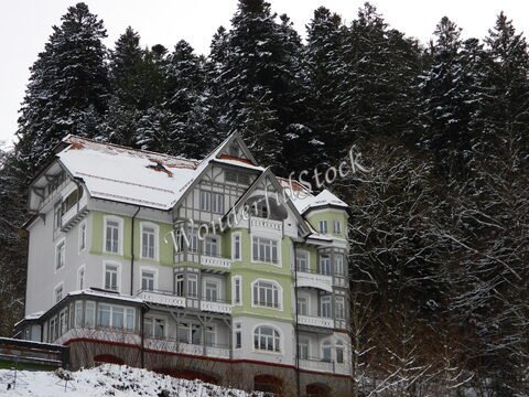 Maison à Triberg, Allemagne, entourée de sapins enneigés et avec un toit en pente, dans un paysage hivernal.