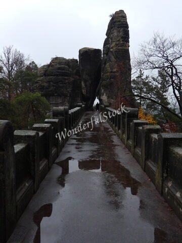 Pont de Bastei en Allemagne, avec des rochers imposants et un chemin humide, entouré d'arbres.