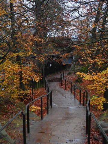 Sentier bordé d'arbres aux feuilles jaunes, menant au pont de Bastei, en Allemagne.