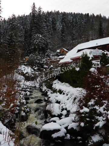 Un ruisseau gelé traverse un paysage enneigé à Triberg, en Allemagne, avec des maisons en bois et des sapins en arrière-plan.