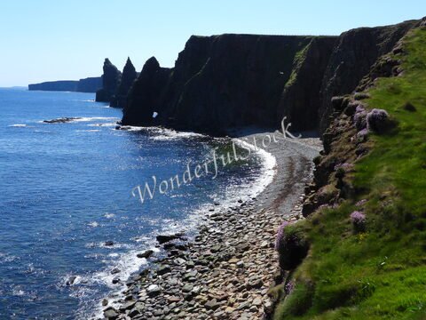 Falaises au Duncansby Head, Écosse, avec une plage de galets et des fleurs sur la colline.