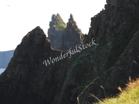 Falaises à Duncansby Head, Écosse, avec des formations rocheuses distinctives et des oiseaux nichant sur les pentes.