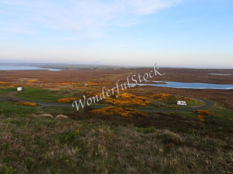 Paysages de landes et de lacs à Dunnet Head, Écosse, avec des fleurs jaunes et une route sinueuse.