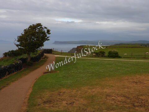 Un chemin sinueux longe une prairie verdoyante à Ballycastle, en Irlande, avec des moutons paissant et une vue sur la mer.